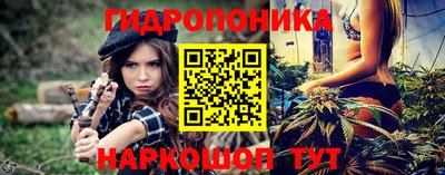 дживик Новозыбков