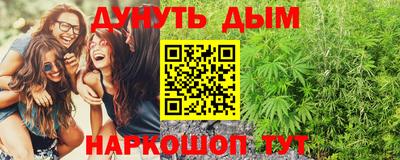 дживик Новозыбков